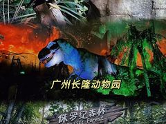 -广州长隆野生动物世界