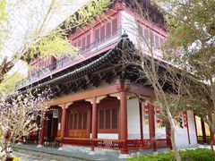 -南汇桃花村