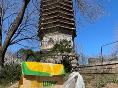 -玲珑塔公园