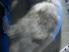 -零纪元VR体验馆·桌游(黄浦店)