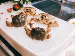 -海底捞火锅(泉城路店)