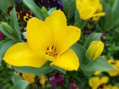 -无锡市市民中心