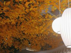 -食悦江南·淮扬菜·烤鸭(亚运村·惠新店)