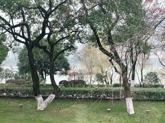 -橘洲1910花园江景西餐厅