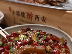 -福苗小骆驼烧烤(大唐不夜城店)