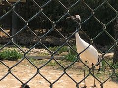 -石家庄市动物园