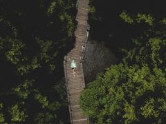 -桤木河湿地公园