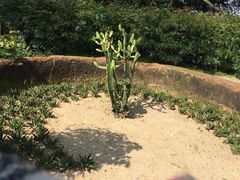 -胡里山炮台