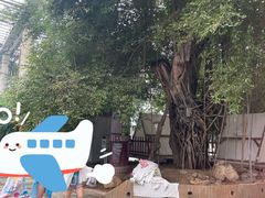 -龙达温泉生态城