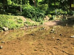 -重庆彩云湖湿地公园