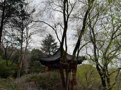 -秦岭终南山世界地质公园翠华山景区