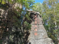 -汤旺河林海奇石景区