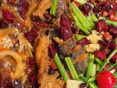 -老板恋上鱼(恒隆广场店)