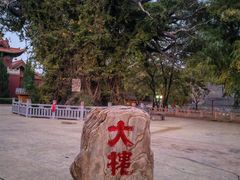 -大槐树寻根祭祖园