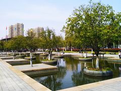 -白塘生态植物园