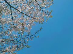 -浙江大学(玉泉校区)