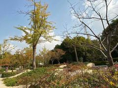-新江湾城公园