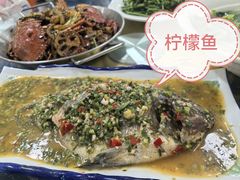 -金螃蟹