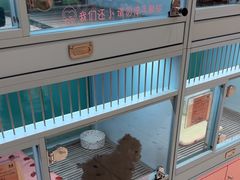 -FAELING PETS美天灵宠物(合生汇店)