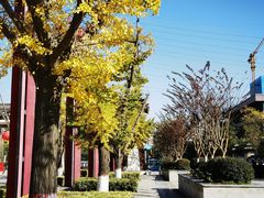 -西安汉城湖景区