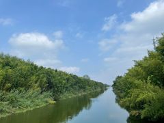 -黄海国家森林公园