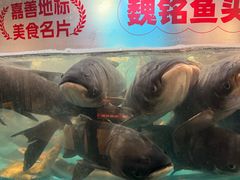 -魏铭鱼头捞饭(晋阳路店)
