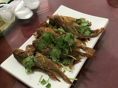 -烁佳海鲜大馅饺子