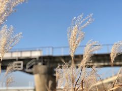 -乌龙涧铁道铁轨景