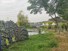 -紫颐香薰山谷景区