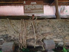 -海南槟榔谷黎苗文化旅游区