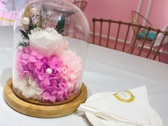-金私燕鲜炖燕窝(万达店)