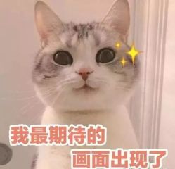 -MIVI·纹眉半永久野生眉