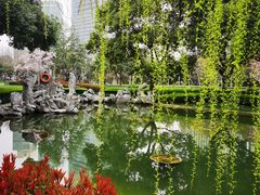 -陆家嘴中心绿地