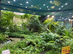 -凯德广场(学府店)