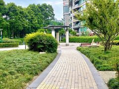 -神仙树公园