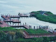 -芒洲湿地公园