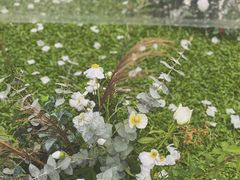 -深圳隐秀山居酒店