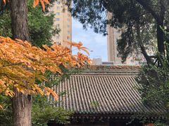 -罔极寺