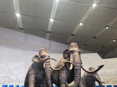 -大庆市博物馆