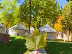 -九十九顶毡房(阜石路店)