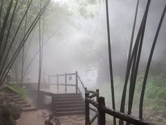 -川西竹海景区