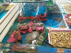 -鑫悦楼煎蟹·16年海鲜大排档