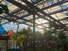 -南宫五洲植物乐园