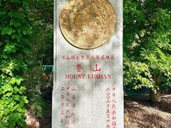 -鲁山国家森林公园