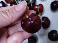 -江杨农产品批发市场