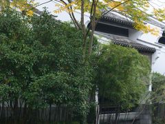 -怪咖·joker陈楠