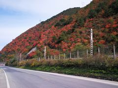 -秦岭风景区