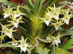 -北京植物园-展览温室