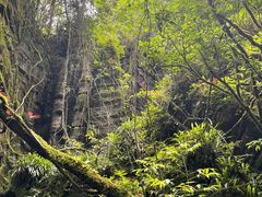 -梭布垭石林景区