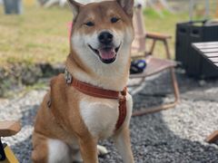 -风云岭森林公园